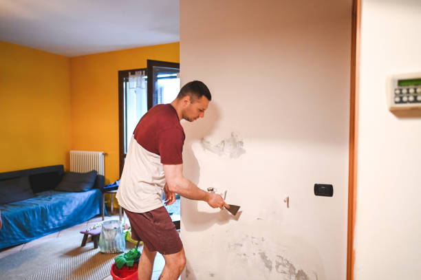 Best Health and Safety Mold Remediation in West Carthage, NY